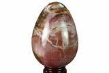 Colorful, Polished Petrified Wood Egg - Madagascar #172775-1